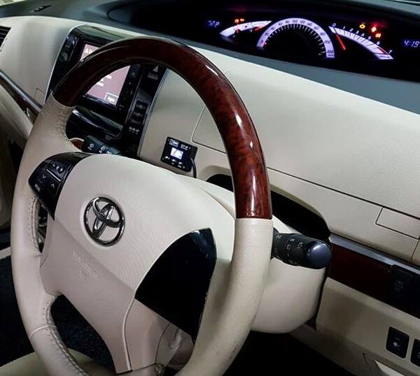 D1 Spec GT-R Throttle Controller